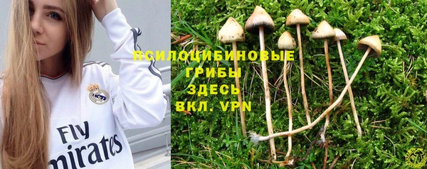 гидра Абдулино