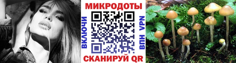 Псилоцибиновые грибы GOLDEN TEACHER  Карабаново 